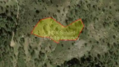 Agriculture Plot for sale, Nicosia, Gourri