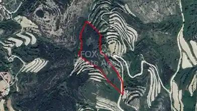 Agriculture Plot for sale, Paphos, Koili
