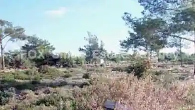 Agriculture Plot for sale, Limassol, Souni-Zanakia