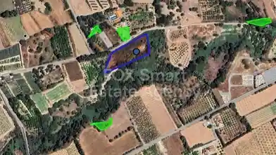 Agriculture Plot for sale, Paphos, Kissonerga, Dimos Akama