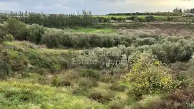 Agriculture Plot for sale, Paphos, Nikokleia