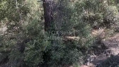 Działka rolna na sprzedaż, Dystrykt Limassol, Pera Pedi