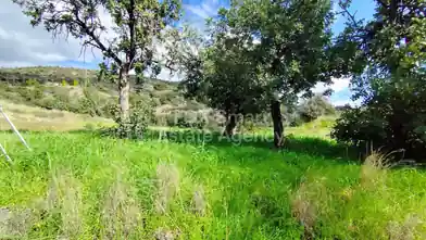 Agriculture Plot for sale, Limassol, Asgata