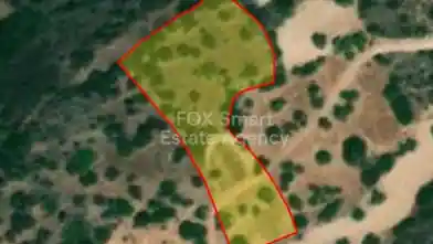 Agriculture Plot for sale, Paphos, Neo Chorio, Dimos Polis Chrysochous