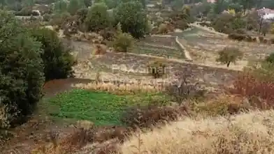 Działka rolna na sprzedaż, Dystrykt Limassol, Pera Pedi