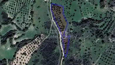 Agriculture Plot for sale, Paphos, Lysos