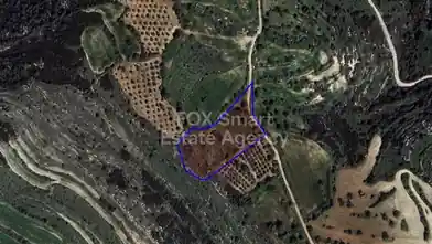 Agriculture Plot for sale, Paphos, Tera, Dimos Polis Chrysochous