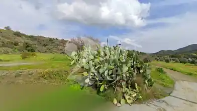 Agriculture Plot for sale, Limassol, Vasa