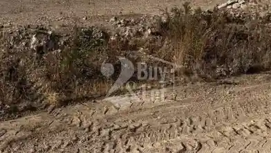 Agriculture Plot for sale, Limassol, Monagroulli