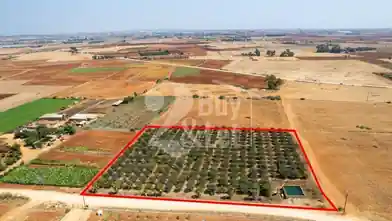 Agriculture Plot for sale, Famagusta, Avgorou
