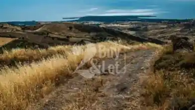 Գյուղատնտեսական հողամաս վաճառքիԼիմասոլում, Սունի-Զանաքիաում