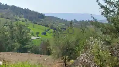 Działka rolna na sprzedaż, Dystrykt Pafos, Lisos