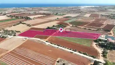 Agriculture Plot for sale, Famagusta, Liopetri, Dimos Agias Napas