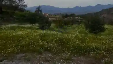 Agriculture Plot for sale, Limassol, Prastio