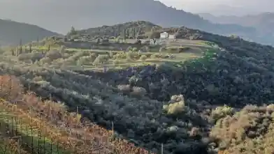 Agriculture Plot for sale, Limassol, Kellaki