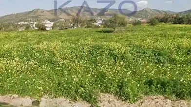 Działka mieszkaniowa na sprzedaż, Dystrykt Pafos, Argaka, Dimos Polis Chrysochous