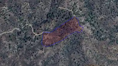 Agriculture Plot for sale, Larnaca, Kalo Chorio