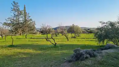 Działka rolna na sprzedaż, Dystrykt Limassol, Pareklisia