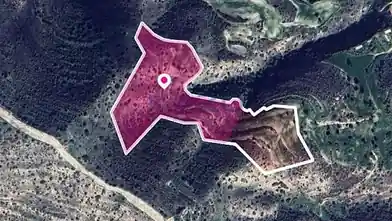 Agriculture Plot for sale, Larnaca, Agios Theodoros