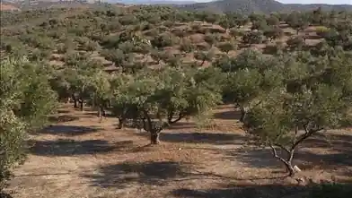 Commercial Plot for sale, Euboea, Amarynthos, Euboea