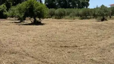Działka komercyjna na sprzedaż, Halkidiki, Sithonia
