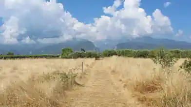 Commercial Plot for sale, Pieria, Litochoro