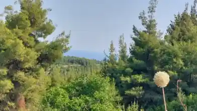Коммерческий земельный участок на продажу, Halkidiki, Паллини