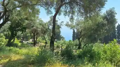 Commercial Plot for sale, Kerkira, Achillii