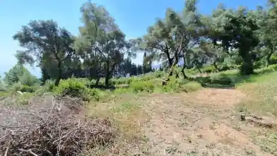 Commercial Plot for sale, Kerkira, Achillii