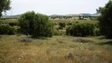 Działka komercyjna na sprzedaż, Chalkidiki, Poligiros, Chalkidiki