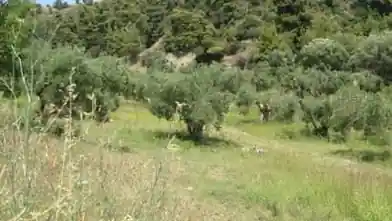 Commercial Plot for sale, East Attica Regional Unit, Municipality of Pallini, Chalkidiki