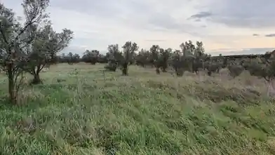 Коммерческий земельный участок на продажу, Chalkidiki, Triglia, Халкидики