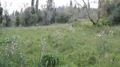 Commercial Plot for sale, Corfu, Corfu