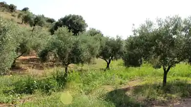 Działka komercyjna na sprzedaż, Sporady, Skiathos, Sporady