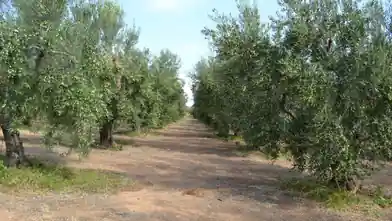 Działka komercyjna na sprzedaż, Halkidiki, Moudania, Halkidiki