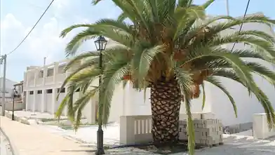 Commercial for sale, Corfu, Acharavi, Corfu