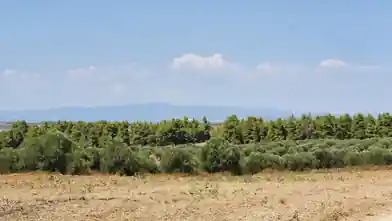 Commercial Plot for sale, Halkidiki, Halkidiki