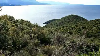Commercial Plot for sale, Messinia, Lefktro, Messinia