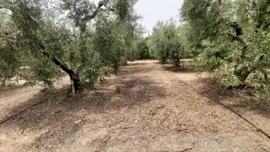 Commercial Plot for sale, Chalkidiki, Ormilia, Chalkidiki