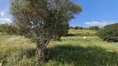 Commercial Plot for sale, Zakinthos, Elation, Zakinthos