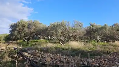 Commercial Plot for sale, Lasithi, Vrachasi, Lasithi
