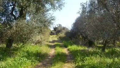 Działka komercyjna na sprzedaż, Corfu, Korfu, Korfu