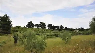 Działka komercyjna na sprzedaż, Halkidiki, Sithonia, Halkidiki