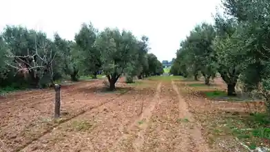 Commercial Plot for sale, Halkidiki, Moudania, Halkidiki
