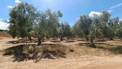 Commercial Plot for sale, Chalkidiki, Triglia, Chalkidiki
