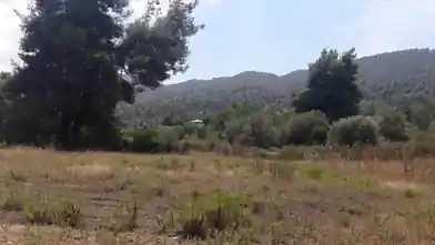 Коммерческий земельный участок на продажу, Halkidiki, Ситония, Халкидики