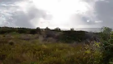 Commercial Plot for sale, Chania, Frangokastello, Chania