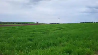Εμπορικό οικόπεδο προς πώληση, Χαλκιδική, Χαλκιδική