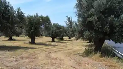 Commercial Plot for sale, Rethimno, Arkadi, Rethimno