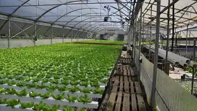 Commercial for sale, Kerkira, Melitiei, Kerkira